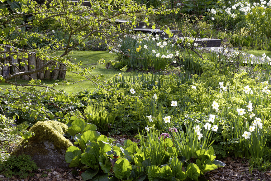 Jardin de Berchigranges - © Marianne Lavillonnière